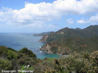 Coastal Track - Harataonga to Okiwi