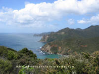 Coastal Track - Harataonga to Okiwi