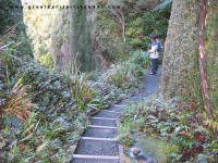 Windy Canyon to Mt Hirakimata (Mt Hobson)